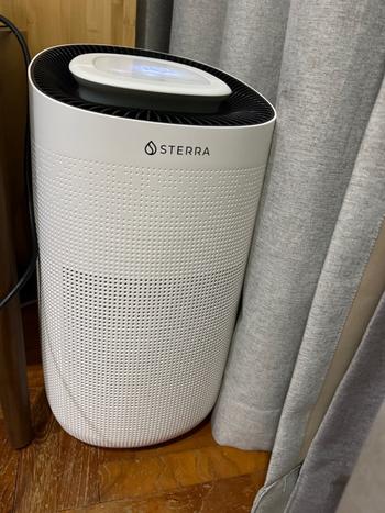 Sterra  Review